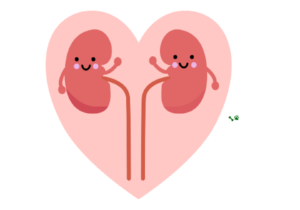 Diuréticos y Cardíacos